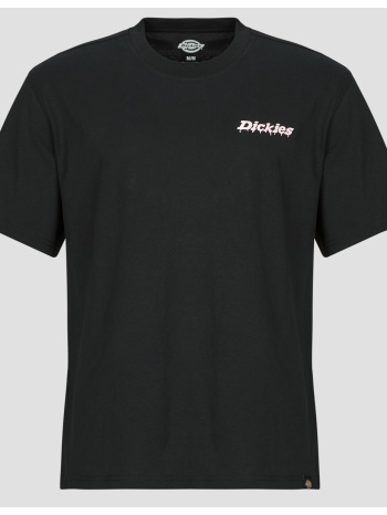 t-shirt με κοντά μανίκια dickies statesville tee ss black