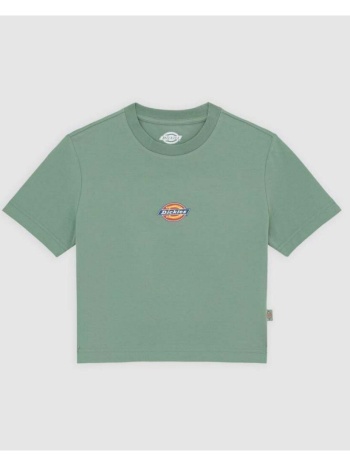 t-shirt με κοντά μανίκια dickies maple | σε προσφορά