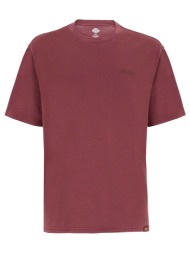 t-shirt με κοντά μανίκια dickies plentywood ss tee |