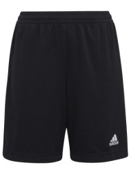 shorts & βερμούδες adidas ent22 tr shoy |