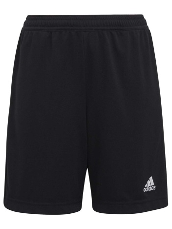 shorts & βερμούδες adidas ent22 tr shoy |