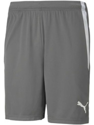 shorts & βερμούδες puma teamliga |