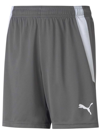shorts & βερμούδες puma teamliga jr |