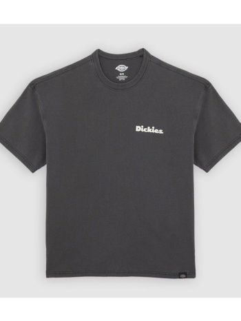 t-shirt με κοντά μανίκια dickies slayden gd | σε προσφορά