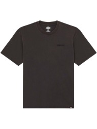 t-shirt με κοντά μανίκια dickies plentywood ss tee |