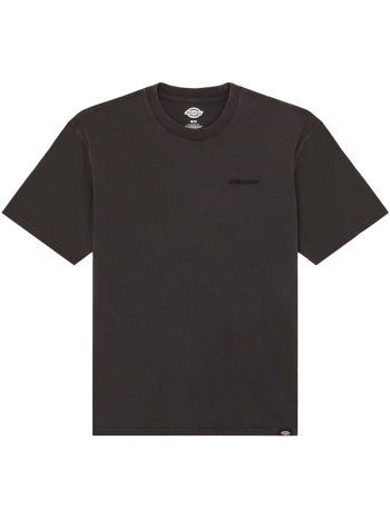 t-shirt με κοντά μανίκια dickies plentywood ss tee |