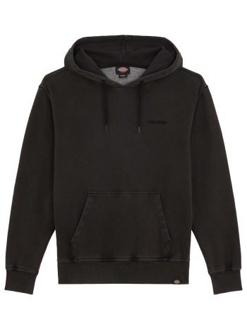 φούτερ dickies plentywood hoodie | σε προσφορά