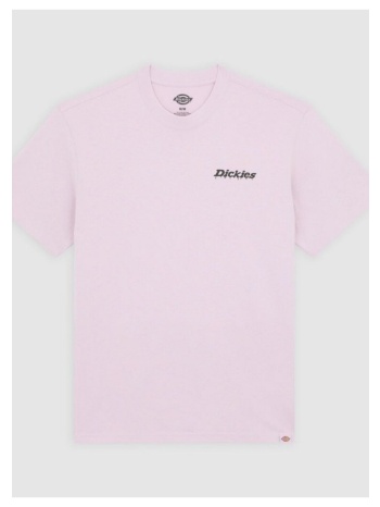 t-shirt με κοντά μανίκια dickies statesville tee | σε προσφορά