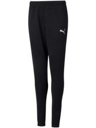 παντελόνια puma teamrise poly training jr |