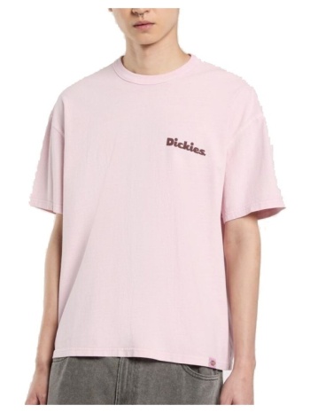 t-shirt με κοντά μανίκια dickies slayden gd tee | σε προσφορά