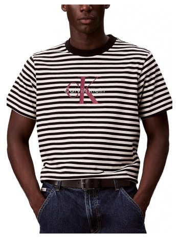 t-shirt με κοντά μανίκια calvin klein jeans ss 20s stripe σε προσφορά