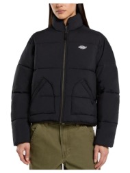 χοντρό μπουφάν dickies ...