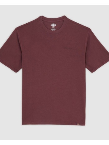 t-shirt με κοντά μανίκια dickies slayden gd | σε προσφορά