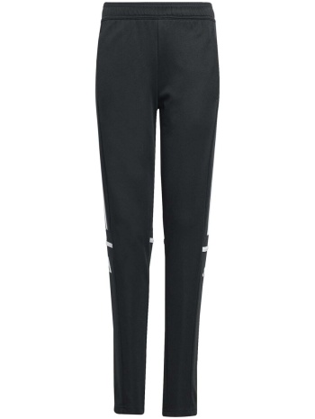 παντελόνια adidas sq25 tr pnt y | σε προσφορά