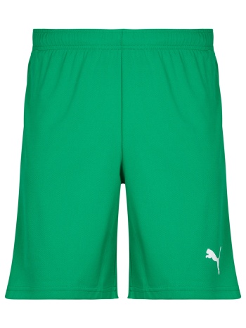 shorts & βερμούδες puma teamrise matchday