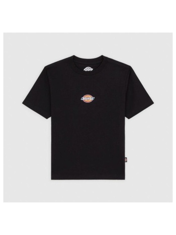 t-shirt με κοντά μανίκια dickies maple valley reg tee | σε προσφορά