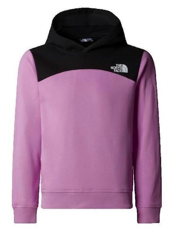 αθλητικό t-shirt the north face back logo relaxed p/o |