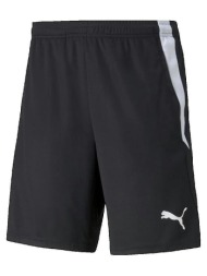 shorts & βερμούδες puma teamliga |