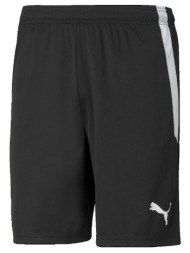 shorts & βερμούδες puma teamliga |