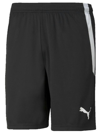 shorts & βερμούδες puma teamliga |