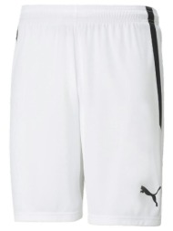 shorts & βερμούδες puma teamliga |