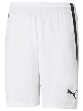 shorts & βερμούδες puma teamliga |