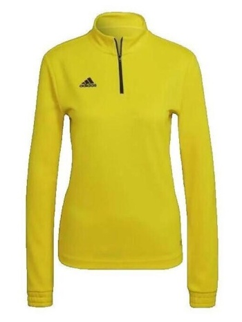 αθλητικό t-shirt adidas entrada 22 |