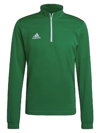 αθλητικό t-shirt adidas entrada 22 |