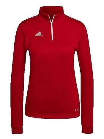 αθλητικό t-shirt adidas entrada 22 |