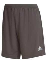 shorts & βερμούδες adidas short entrada 22 |