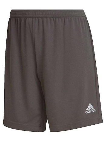 shorts & βερμούδες adidas short entrada 22 |