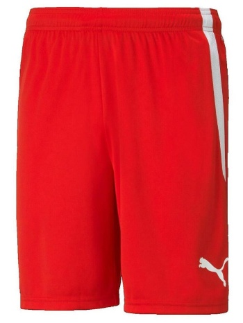shorts & βερμούδες puma shorts teamliga performance rouge |