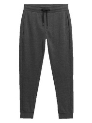 φόρμες 4f pantalon m223 gris |