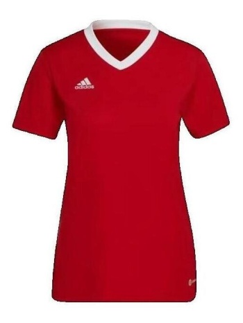 t-shirt με κοντά μανίκια adidas t-shirt entrada 22 rouge |