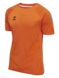 t-shirt με κοντά μανίκια hummel t-shirt hmllead s/s poly jersey orange |