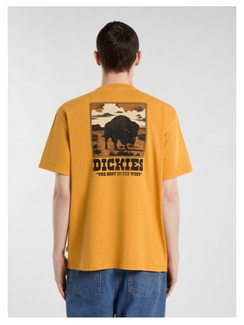 t-shirt με κοντά μανίκια dickies darrtown ss tee |