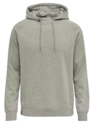 t-shirt με κουκούλα hummel sweat à capuche classic gris chiné |