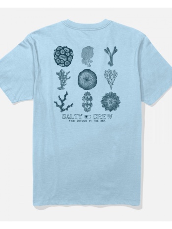 t-shirt με κοντά μανίκια salty crew coral head ss tee |