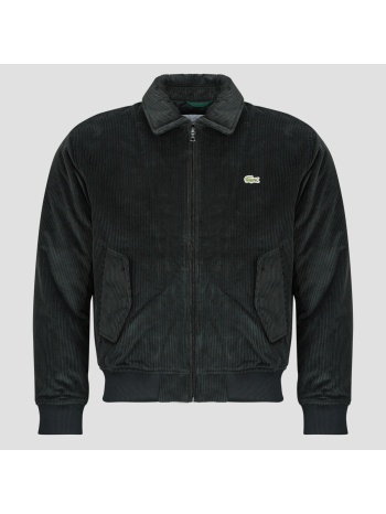 μπουφάν lacoste blouson aviateur rembourré en velours côtelé σε προσφορά