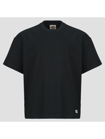 t-shirt με κοντά μανίκια dickies mineral heavyweight ss tee σε προσφορά