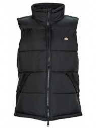 χοντρό μπουφάν dickies ...