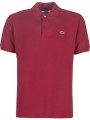 πόλο με κοντά μανίκια lacoste polo l12 12 regular σύνθεση: βαμβάκι
