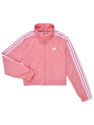 αντιανεμικά adidas -