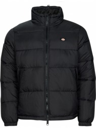 χοντρό μπουφάν dickies ...