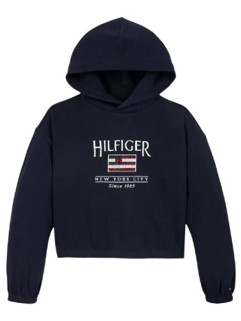 φούτερ tommy hilfiger - σε προσφορά