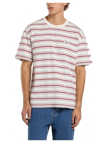t-shirts & polos dickies lewistown stripe ss te σε προσφορά