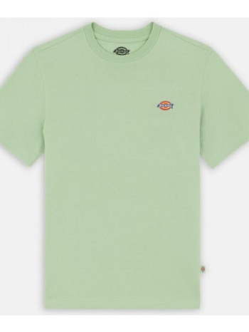 t-shirts & polos dickies mapleton ss tee σε προσφορά