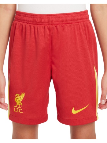 nike liverpool fc 2024/25 stadium home big kids` dri-fit