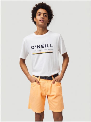 oneill roadtrip o`neill shorts - men σε προσφορά