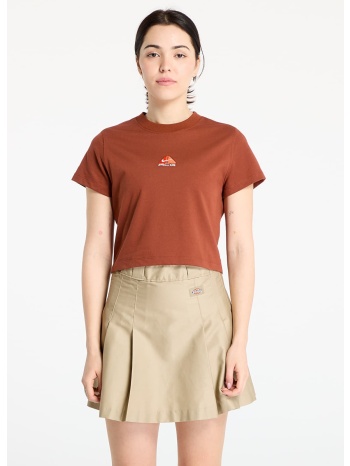 μπλουζάκι nike acg women`s dri-fit t-shirt cinnamon/ σε προσφορά